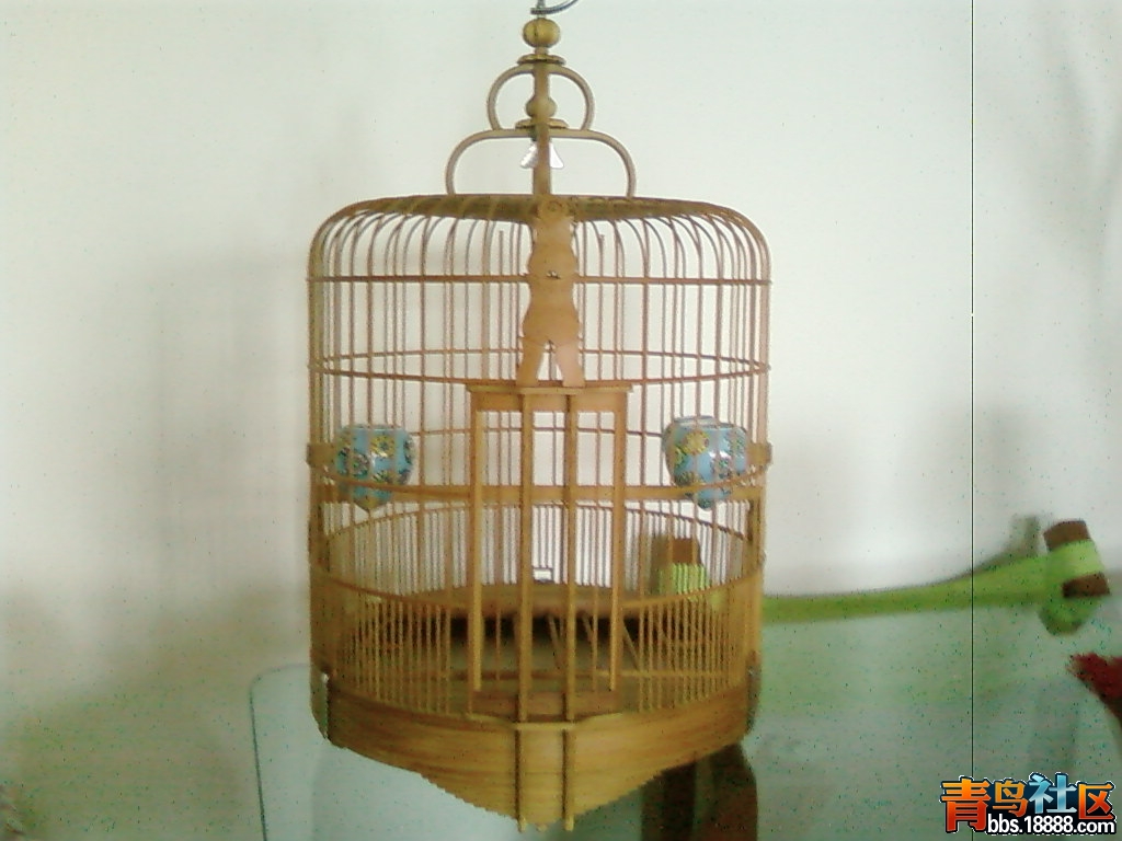 SP_A1278.jpg