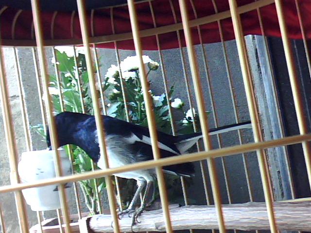 照片 070.jpg