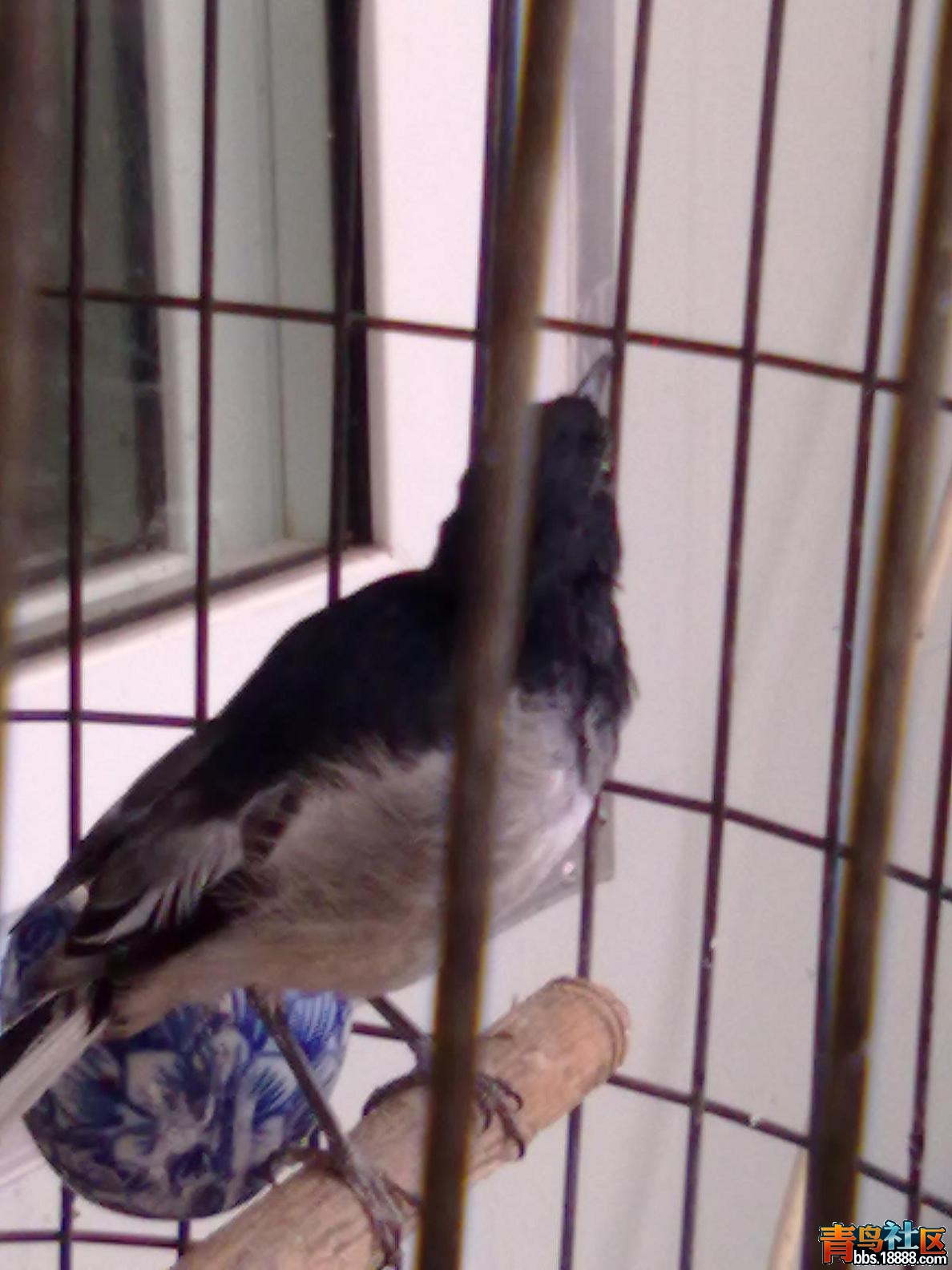 20121008315.jpg