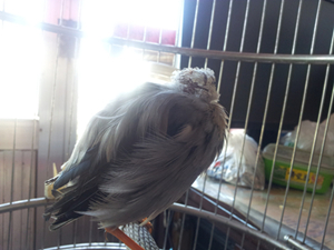 20120928_142905_副本_副本.jpg
