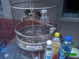 20121004_174726_副本_副本.jpg