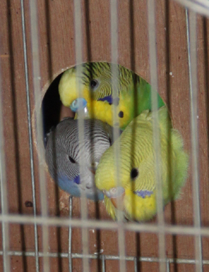 IMG_6676.jpg