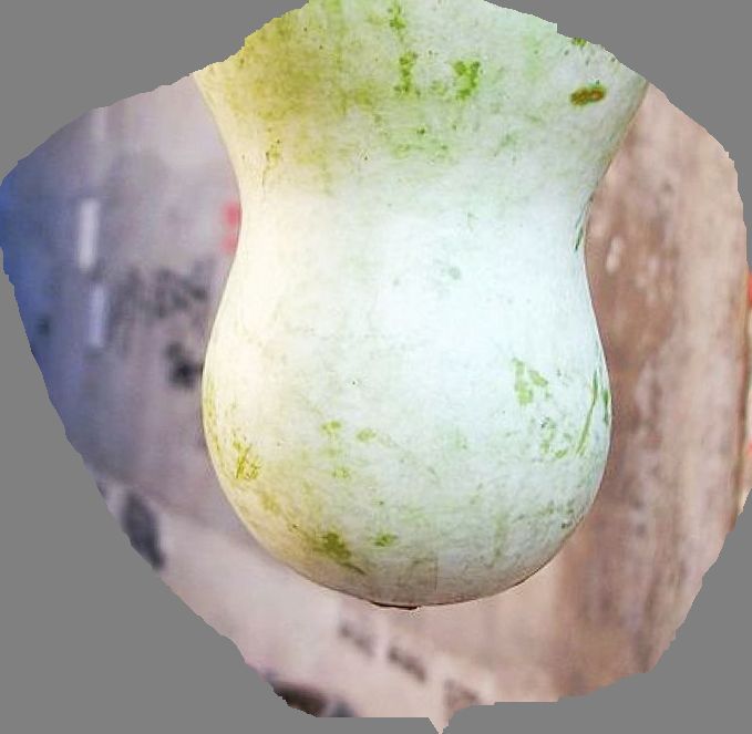 DSCF2440.jpg