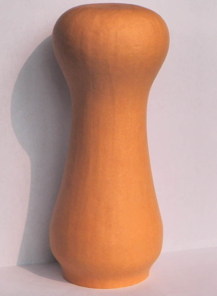 DSCN1701.jpg