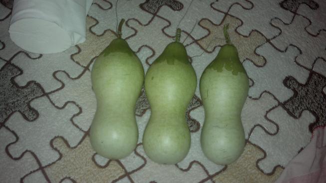 20121004817.jpg