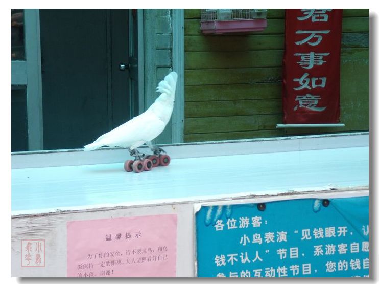 DSCF8228.jpg