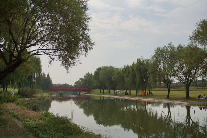 DSC08130.JPG