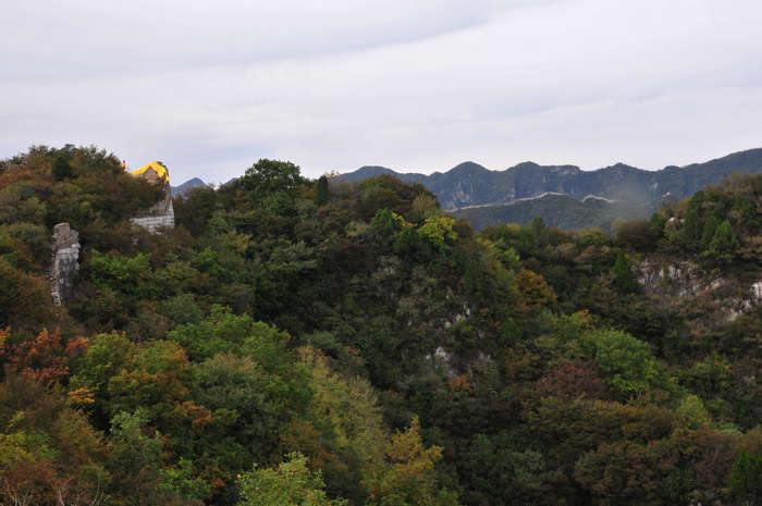 DSC_4716.JPG