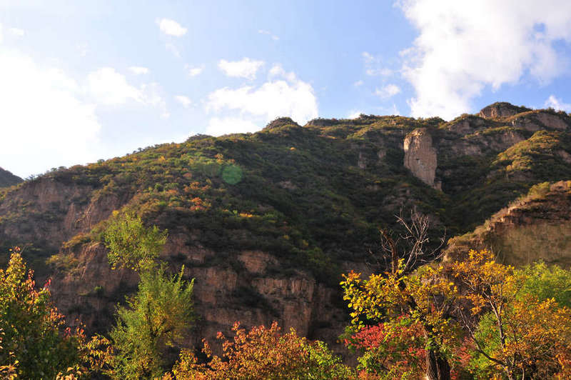DSC_4969.JPG