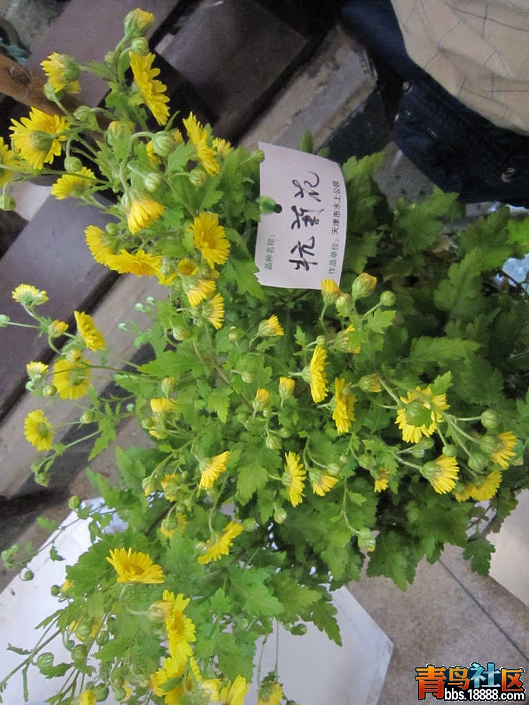 照片 516.jpg