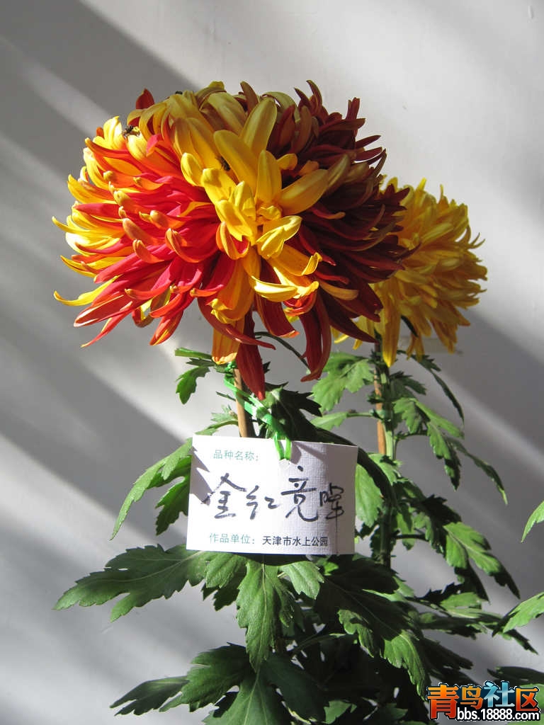 照片 479.jpg