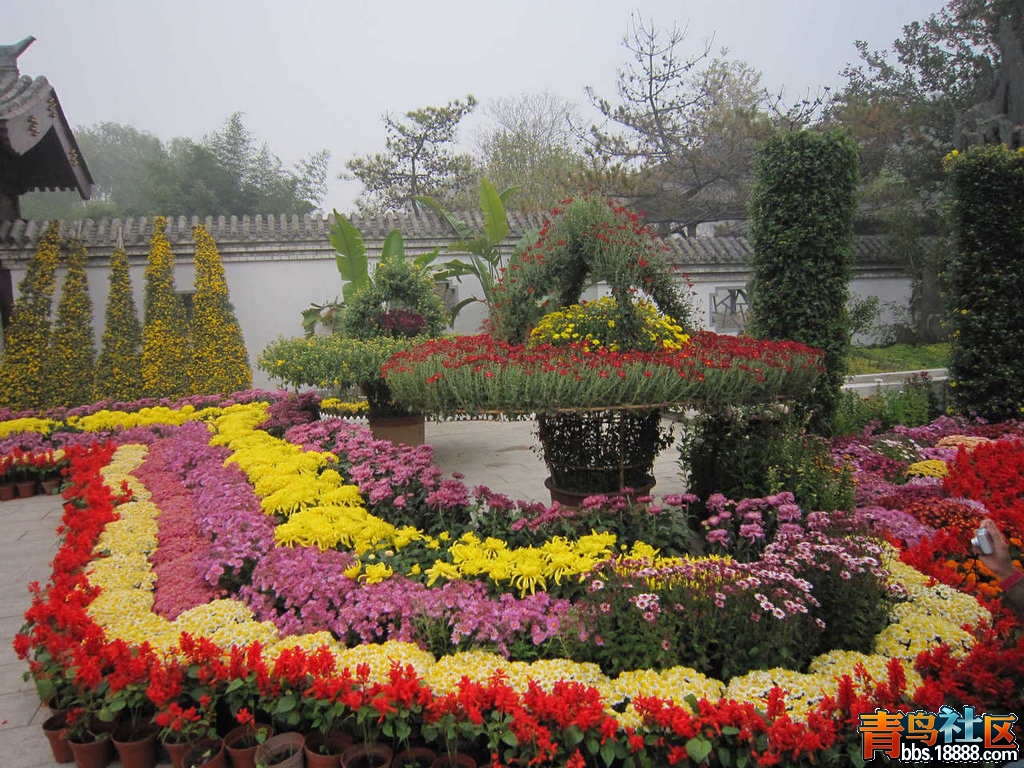 照片 366.jpg