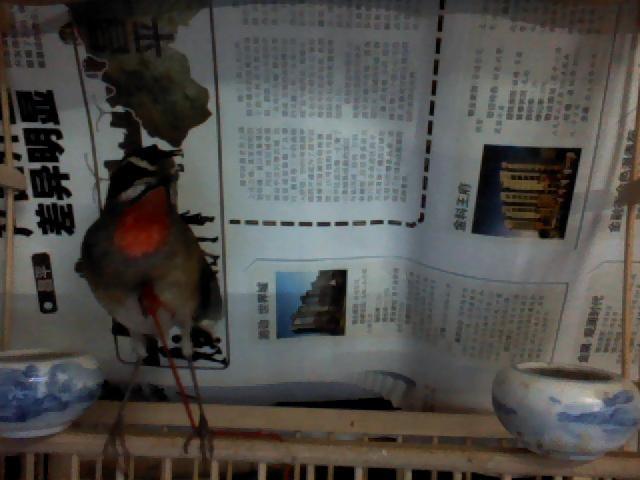 照片 019.jpg