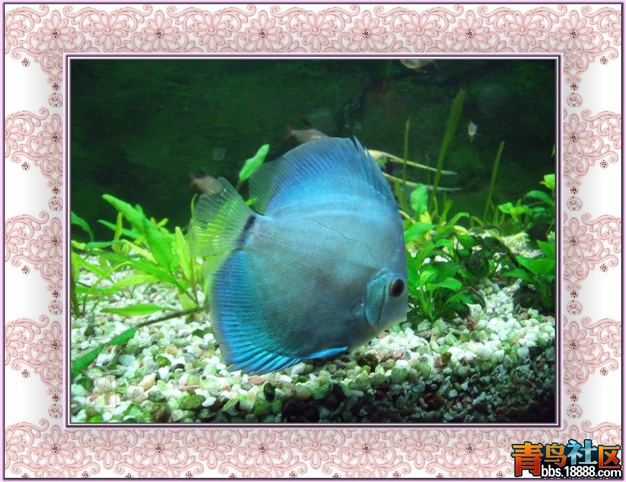 DSCF5215.jpg