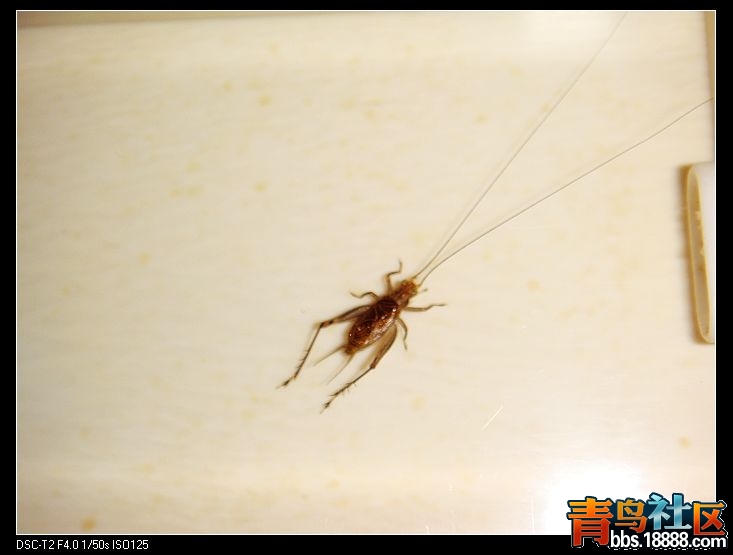 nEO_IMG_DSC00554.jpg