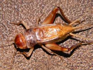 2012.2.17 241.jpg