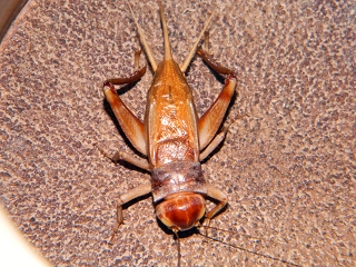 2012.2.17 240.jpg