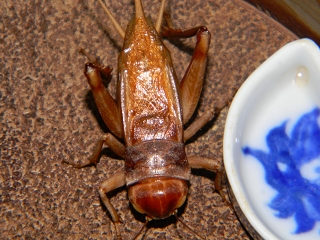 2012.2.17 242.jpg