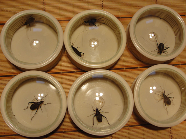 DSC02078_副本.jpg