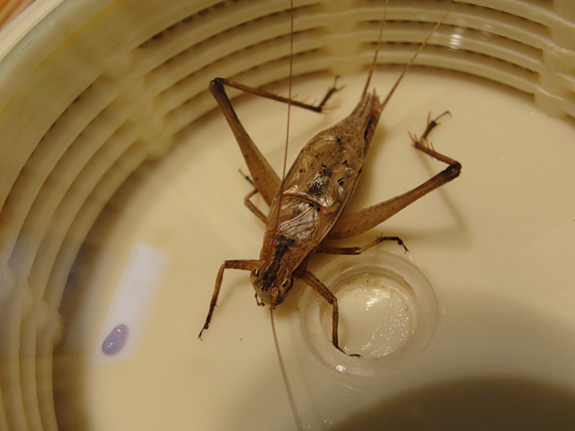 DSC02107_副本.jpg