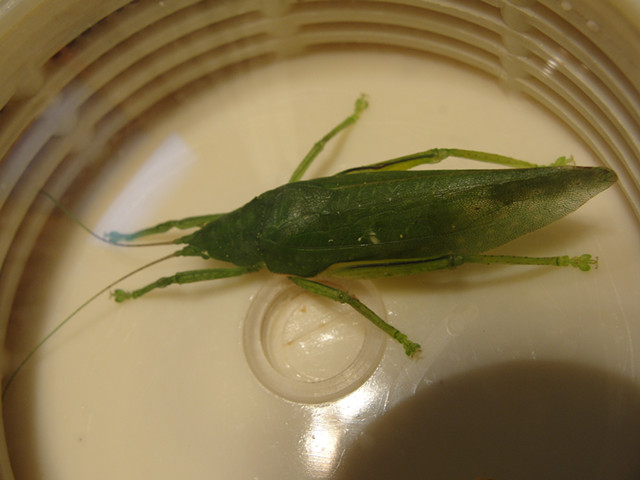 DSC02112_副本.jpg
