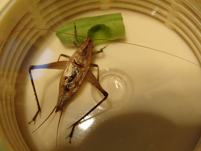 DSC02088_副本.jpg
