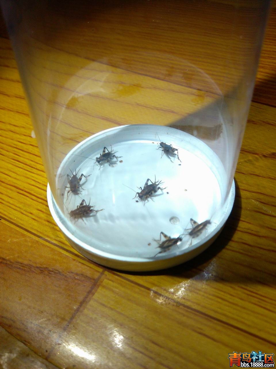IMG_20121003_222503.jpg