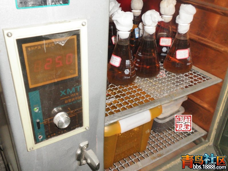 nEO_IMG_PA073079.jpg