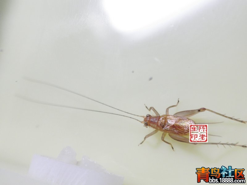 nEO_IMG_PA053070.jpg
