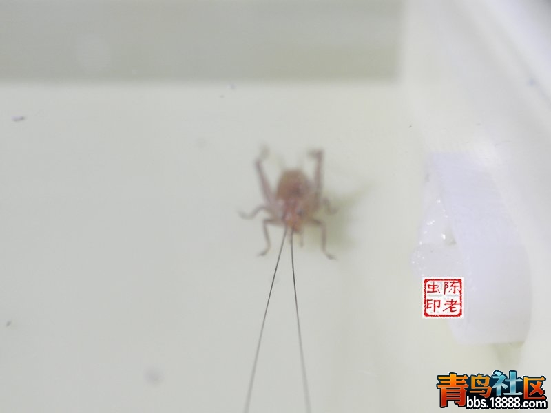 nEO_IMG_PA053073.jpg