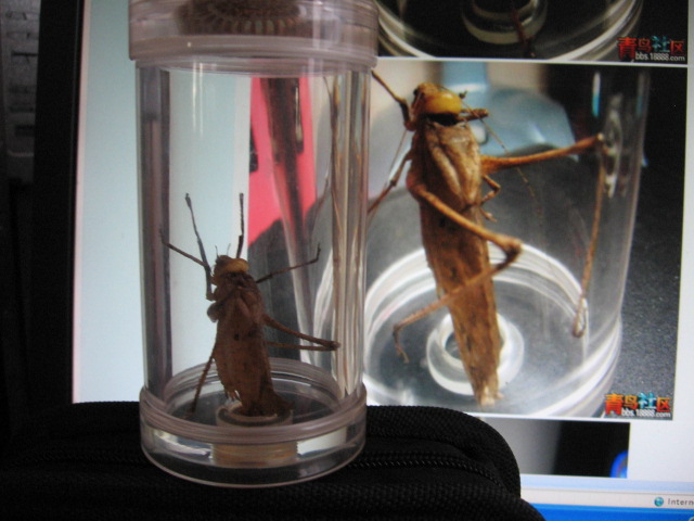 2012-10-29 011.jpg