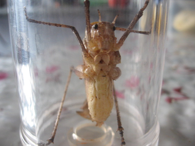 2012-10-29 004.jpg