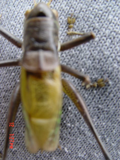 DSC03257.JPG
