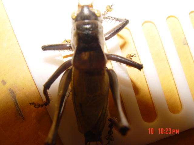 DSC03086.JPG