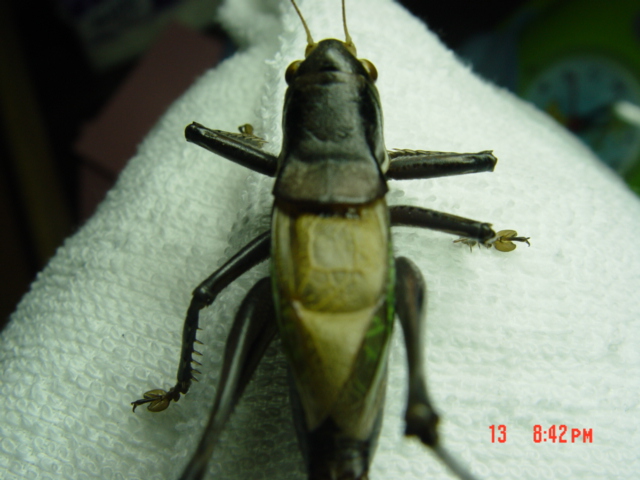 DSC03354.JPG
