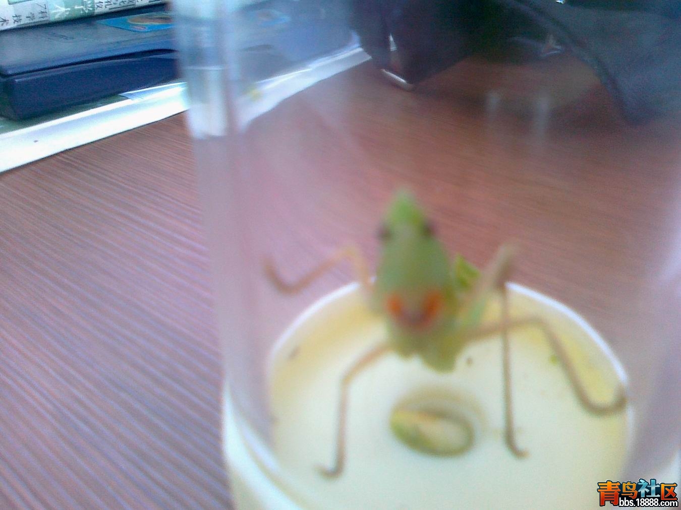 20121009847.jpg