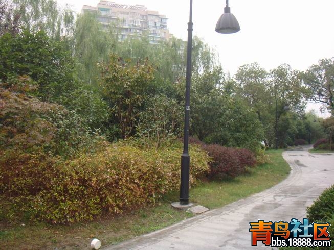 调整大小 DSC01493.JPG