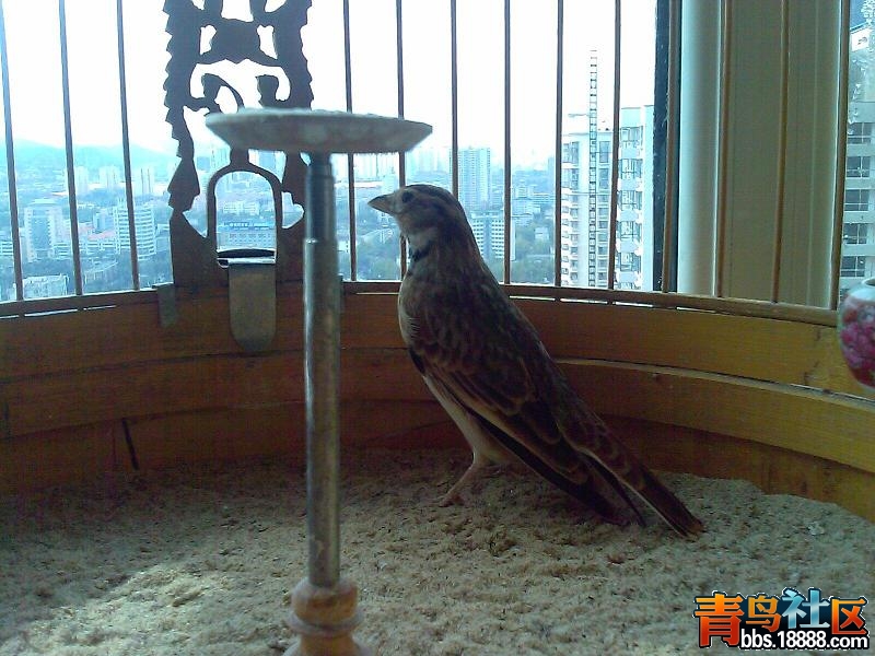 IMAG0480.JPG