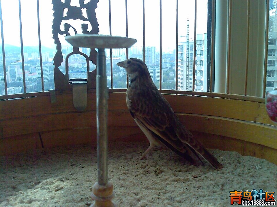 IMAG0480.JPG