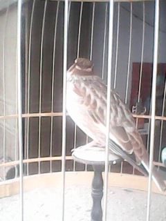 IMG0012A.jpg