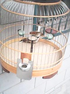 IMG0022A.jpg