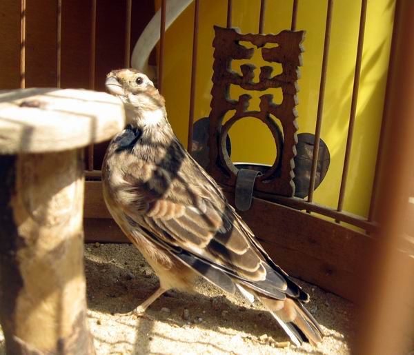 2012-白 026.jpg