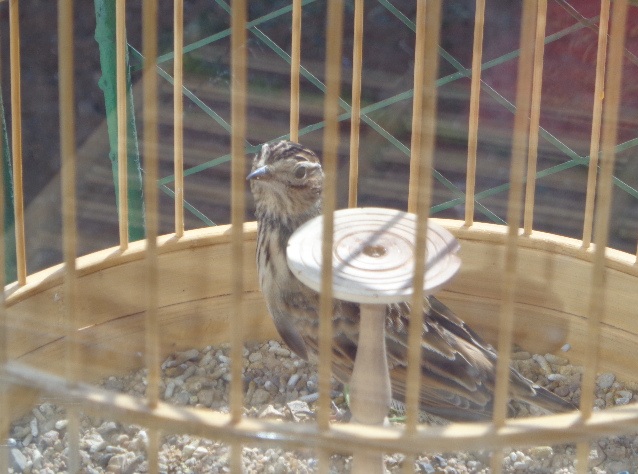 DSC00177.JPG
