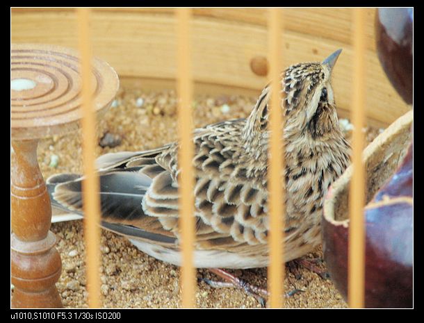 nEO_IMG_PA309578.jpg