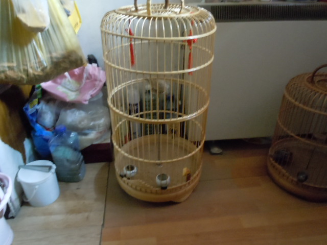DSCN2898.JPG