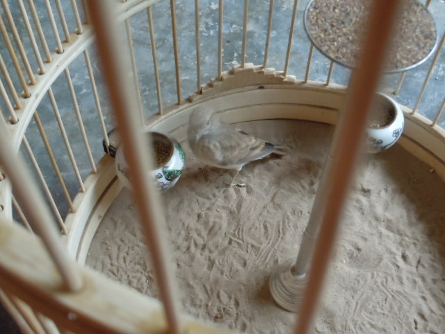 DSCN2727.JPG