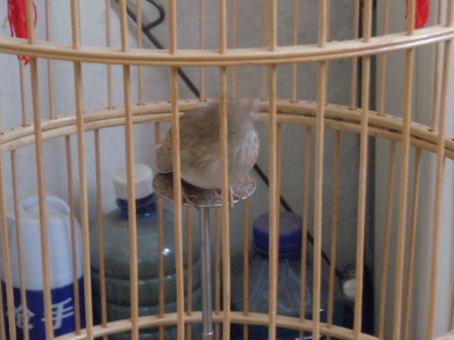 DSCN2910.JPG