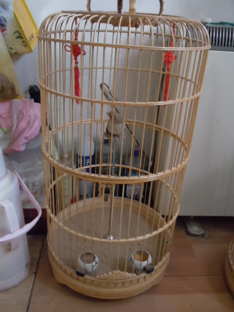 DSCN2909.JPG