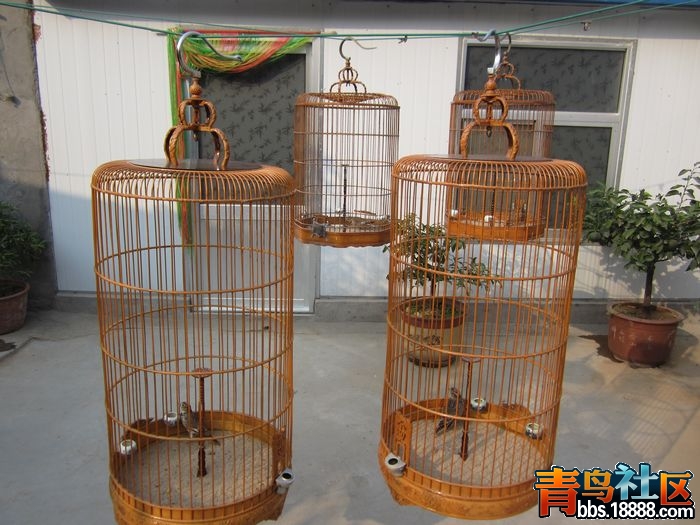 照片 359.jpg