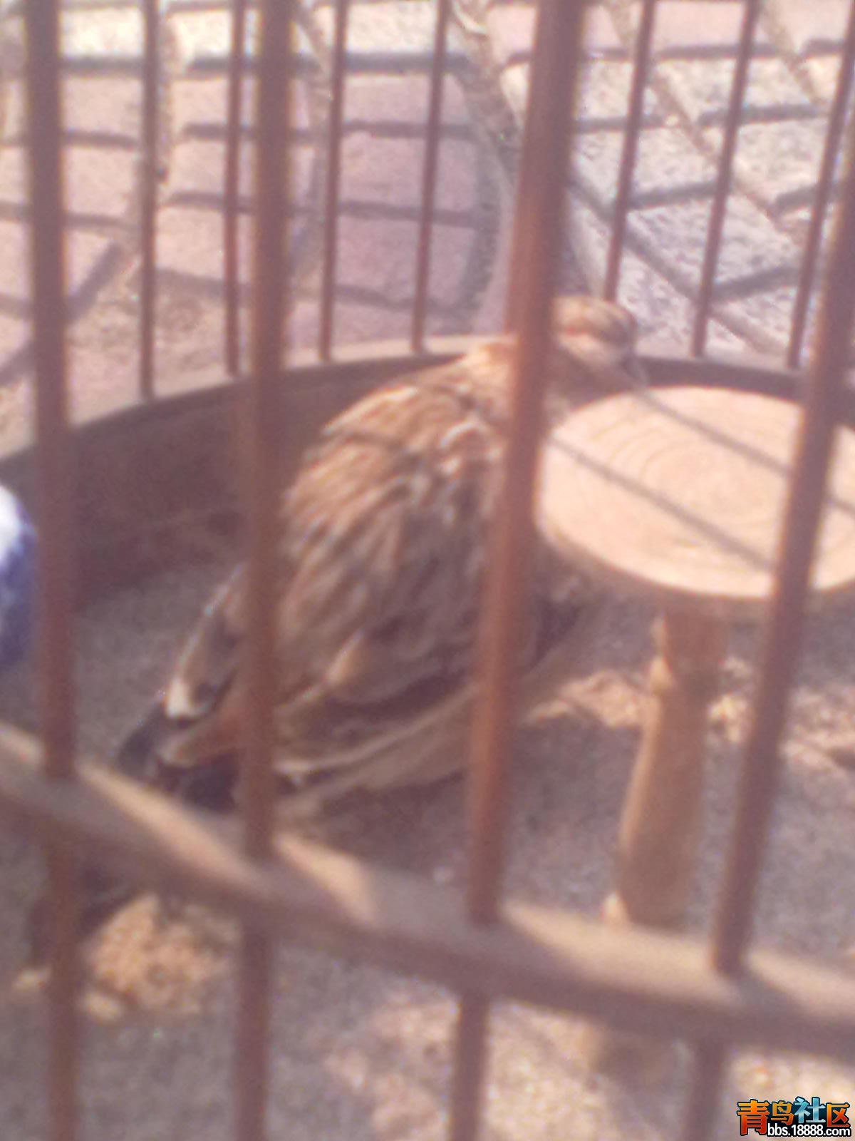 20121014145.jpg